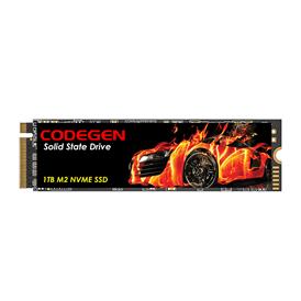 CODEGEN 1 TB NVMe SSD 2000/1000 (CDG-1TB-NVME)