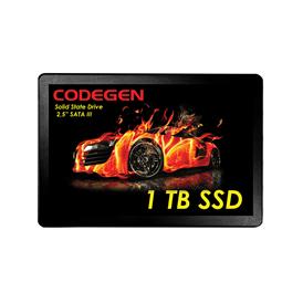 CODEGEN 1 TB 2.5  SATA3 SSD 500/450 (CDG-1TB-SSD25)
